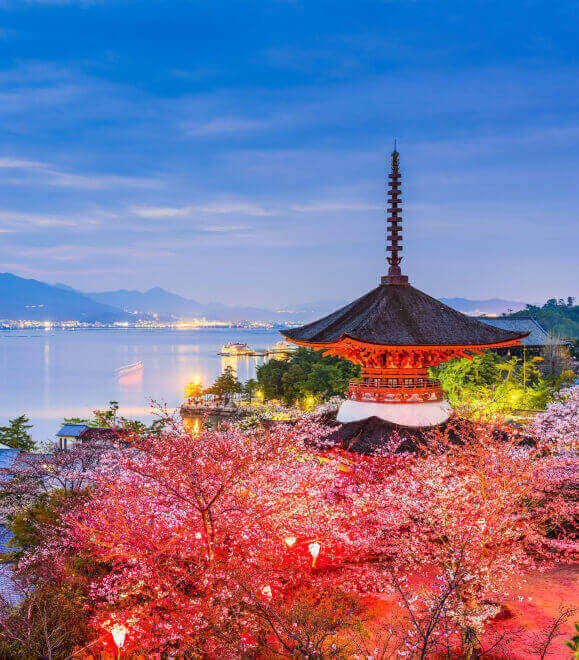 Image hover effect image